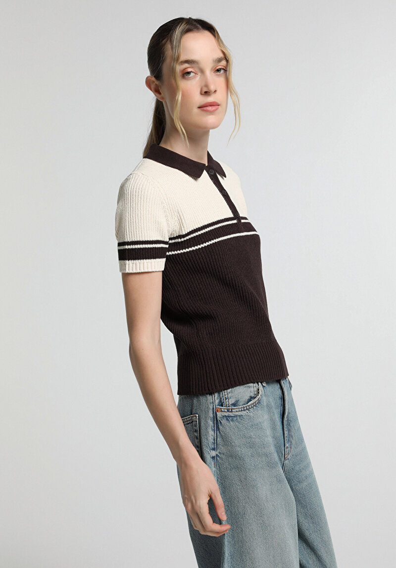 Slim Fit Polo Yaka Çizgili Kadın Kahverengi Kısa Kol Kazak