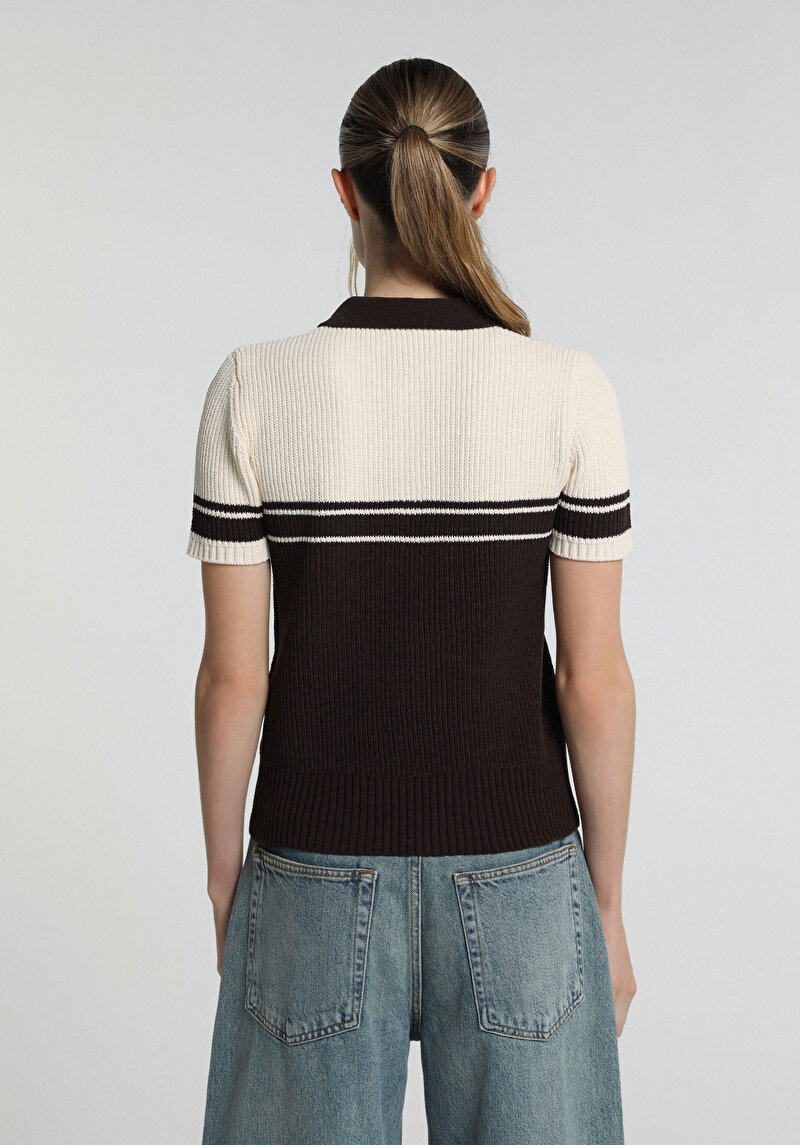Slim Fit Polo Yaka Çizgili Kadın Kahverengi Kısa Kol Kazak