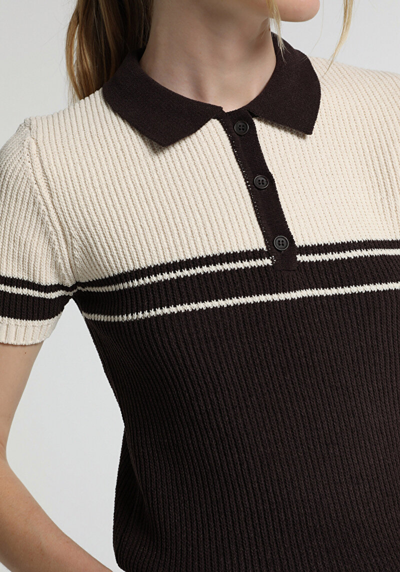Slim Fit Polo Yaka Çizgili Kadın Kahverengi Kısa Kol Kazak