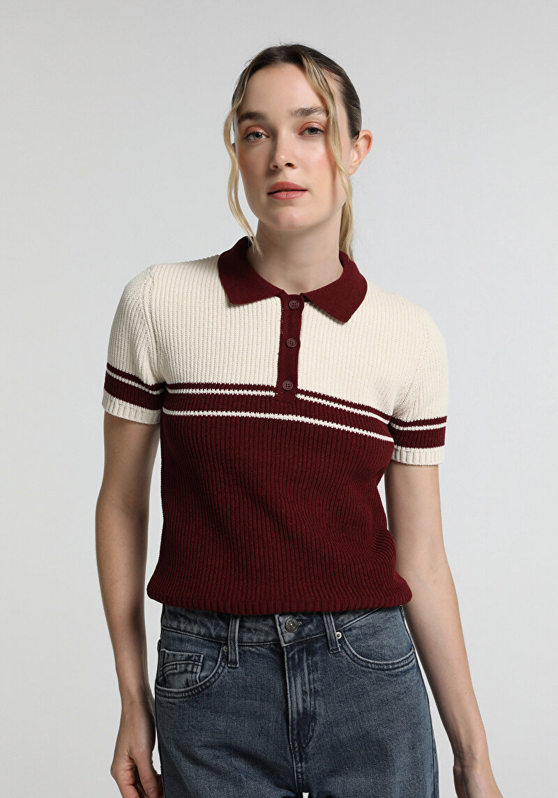 Slim Fit Polo Yaka Çizgili Kadın Bordo Kısa Kol Kazak