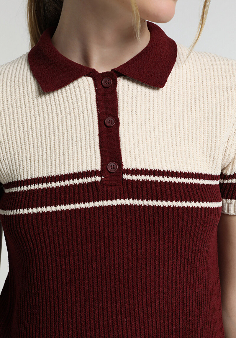 Slim Fit Polo Yaka Çizgili Kadın Bordo Kısa Kol Kazak