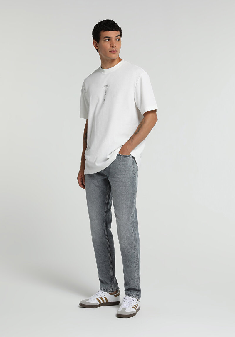 Regular Fit Erkek Grey Denim Jean Pantolon