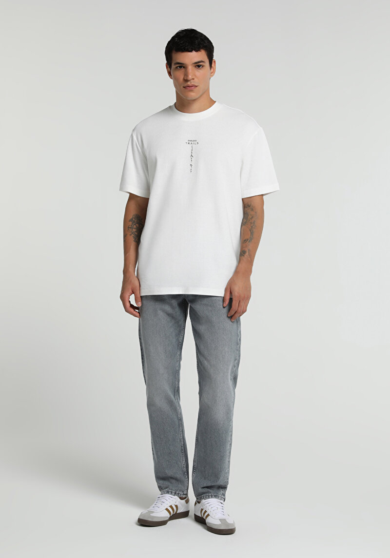 Regular Fit Erkek Grey Denim Jean Pantolon