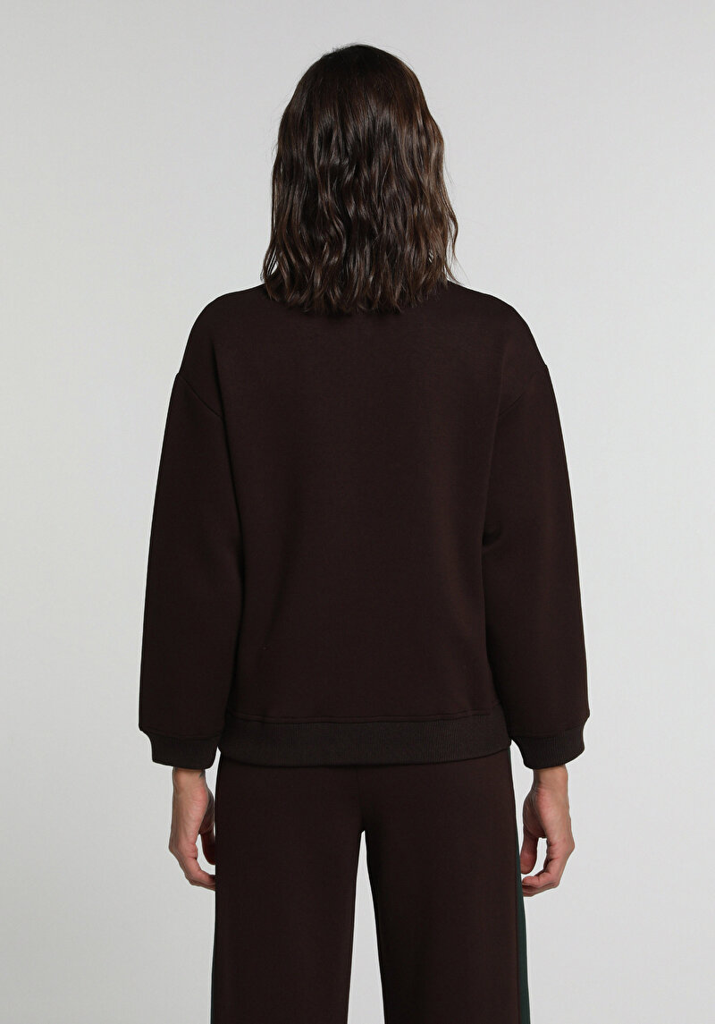 Regular Fit Polo Yaka Düz Kadın Kahverengi Sweatshirt