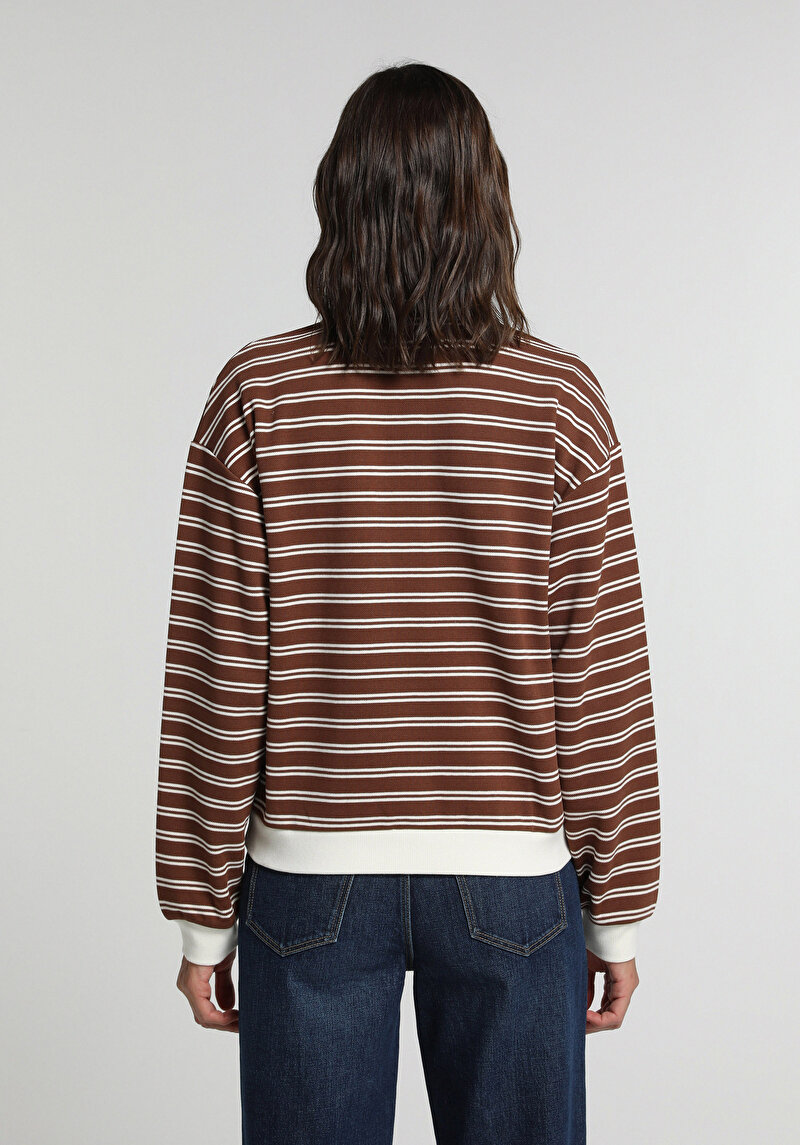 Regular Fit Polo Yaka Çizgili Kadın Kahverengi Sweatshirt