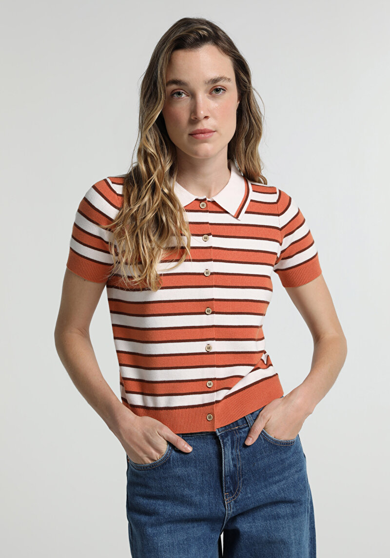 Regular Fit Polo Yaka Çizgili Kadın Çok Renkli Kısa Kol Kazak