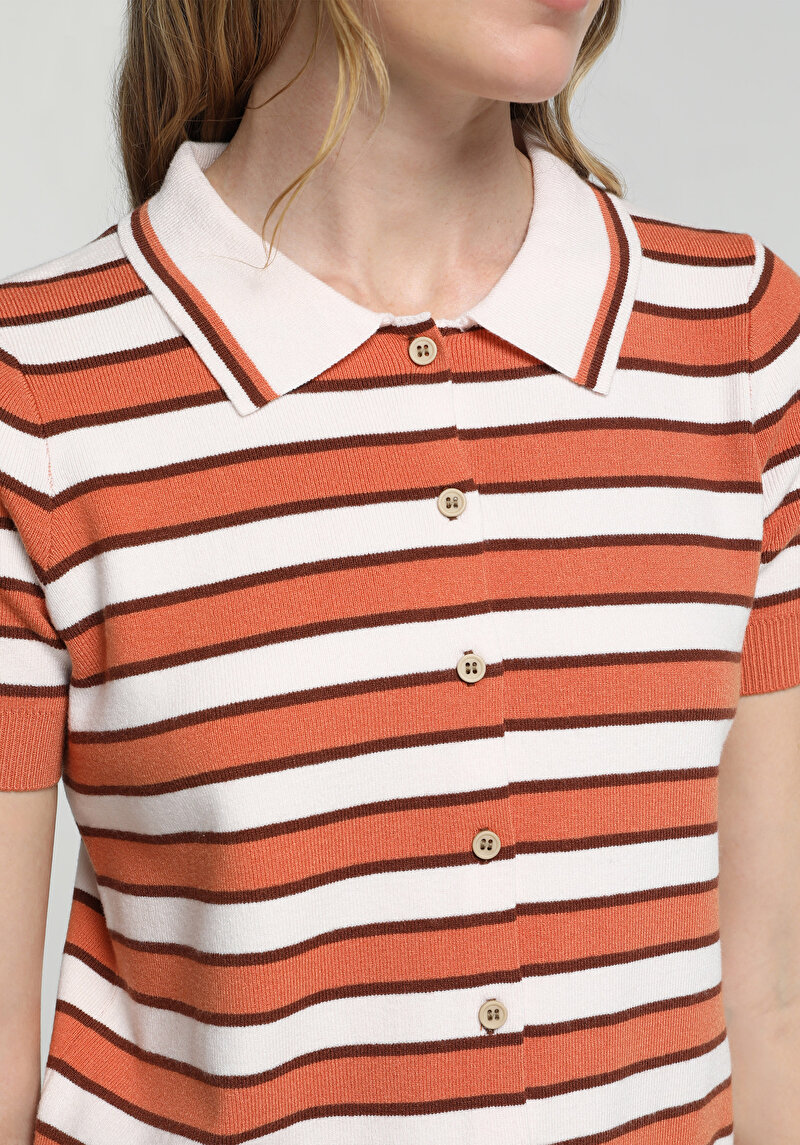 Regular Fit Polo Yaka Çizgili Kadın Çok Renkli Kısa Kol Kazak