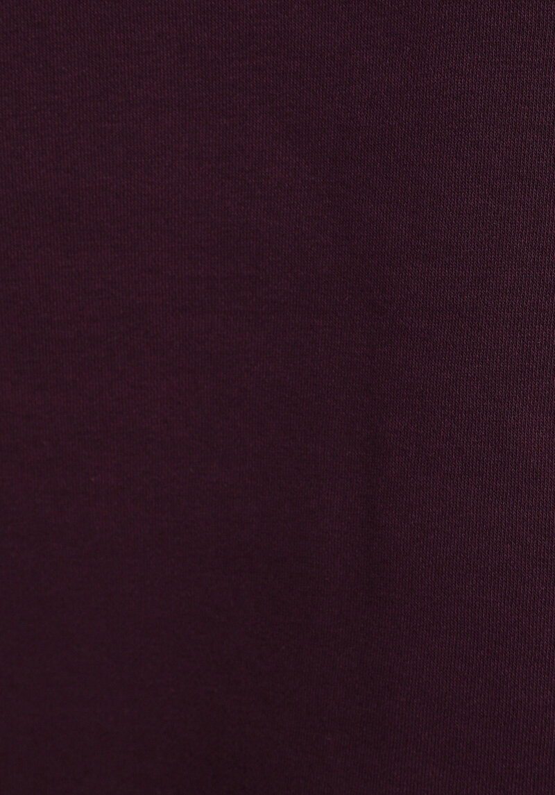 Relax Fit Kapüşonlu Baskılı Kadın Mor Sweatshirt