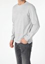 thumb-Regular Fit   Erkek Gri Sweatshirt