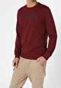 thumb-Regular Fit   Erkek Kahverengi Sweatshirt