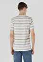 thumb-Regular Fit Yuvarlak Yaka Çizgili Erkek Yeşil Kısa Kol Tişört