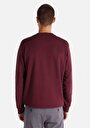 thumb-Regular Fit   Erkek Bordo Sweatshirt