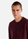 thumb-Regular Fit   Erkek Bordo Sweatshirt