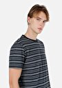 thumb-Regular Fit Yuvarlak Yaka Çizgili Erkek Lacivert Kısa Kol Tişört