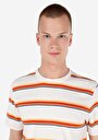 thumb-Regular Fit Yuvarlak Yaka Çizgili Erkek Beyaz Kısa Kol Tişört