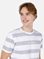 thumb-Regular Fit Yuvarlak Yaka Pamuklu Çizgili Cepsiz Erkek Gri Kısa Kol Tişört