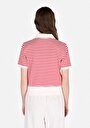 thumb-Regular Fit Polo Yaka Çizgili Kadın Kirmizi Kısa Kol Tişört