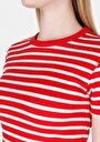 thumb-Slim Fit Yuvarlak Yaka Çizgili Kadın Kirmizi Kısa Kol Tişört