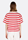 thumb-Comfort Fit Yuvarlak Yaka Örme Çizgili Kadın Kirmizi Kısa Kol Tişört