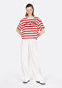 thumb-Comfort Fit Yuvarlak Yaka Örme Çizgili Kadın Kirmizi Kısa Kol Tişört