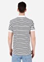 thumb-Regular Fit Polo Yaka Çizgili Erkek Beyaz Kısa Kol Tişört