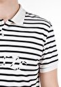 thumb-Regular Fit Polo Yaka Çizgili Erkek Beyaz Kısa Kol Tişört