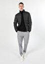 thumb-Slim Fit     Erkek Antrasit Mont