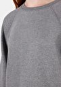 thumb-Regular Fit Yuvarlak Yaka Baskılı Kadın Gri Sweatshirt