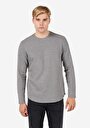 thumb-Regular Fit Yuvarlak Yaka Çizgili Erkek Gri Uzun Kol Tişört