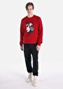 thumb-Regular Fit   Erkek Kirmizi Sweatshirt