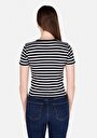 thumb-Slim Fit Yuvarlak Yaka Çizgili Kadın Lacivert Kısa Kol Tişört
