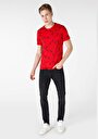 thumb-Regular Fit Yuvarlak Yaka Pamuklu Erkek Kirmizi Kısa Kol Tişört
