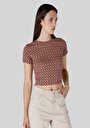 slim-fit-yuvarlak-yaka-kadin-cok-renkli-kisa-kol-tisort