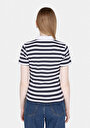 thumb-Slim Fit Polo Yaka Çizgili Kadın Beyaz Kısa Kol Tişört