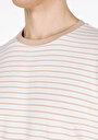 thumb-Regular Fit Örme Yuvarlak Yaka Çizgili Erkek Bej Kısa Kol Tişört
