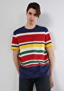 thumb-Comfort Fit Yuvarlak Yaka Çizgili Erkek Çok Renkli Kısa Kol Tişört