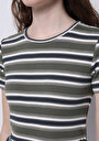 thumb-Slim Fit Yuvarlak Yaka Çizgili Kadın Yeşil Kısa Kol Tişört