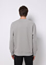 thumb-Comfort Fit   Erkek Gri Sweatshirt