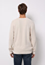 thumb-Regular Fit Yuvarlak Yaka Jakarlı Erkek Ekru Kazak