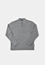 thumb-Regular Fit Polo Yaka Jakarlı Erkek Gri Kazak