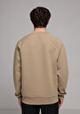 thumb-Regular Fit   Erkek Bej Sweatshirt