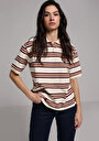thumb-Regular Fit Polo Yaka Çizgili Kadın Çok Renkli Kısa Kol Tişört