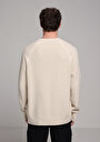 thumb-Regular Fit Yuvarlak Yaka Jakarlı Erkek Ekru Kazak