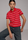 thumb-Regular Fit Yuvarlak Yaka Çizgili Kadın Kirmizi Kısa Kol Tişört