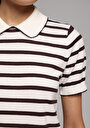 thumb-Slim Fit Polo Yaka Çizgili Kadın Kahverengi Kısa Kol Kazak