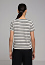 thumb-Regular Fit Yuvarlak Yaka Çizgili Kadın Çok Renkli Kısa Kol Tişört