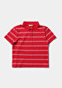 thumb-Regular Fit Yuvarlak Yaka Çizgili Kadın Kirmizi Kısa Kol Tişört