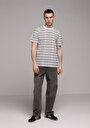thumb-Regular Fit Yuvarlak Yaka Çizgili Erkek Gri Kısa Kol Tişört