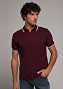 thumb-Regular Fit Polo Yaka Düz Erkek Mor Kısa Kol Tişört