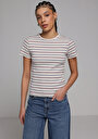 thumb-Slim Fit Yuvarlak Yaka Çizgili Kadın Çok Renkli Kısa Kol Tişört